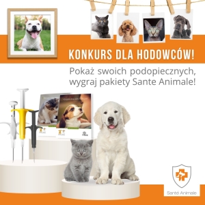 Zdjęcie WhatsApp 2025-10-10 o 22.51.57_7446e60d_68eceed63662a9_72436563.jpg